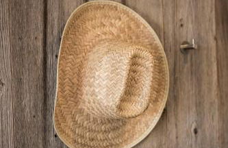 Haus Wiesenstein - Foto 79