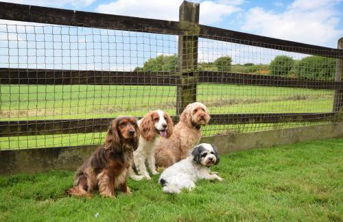 3 Bed in Falmouth oc-conwi - Photo 18