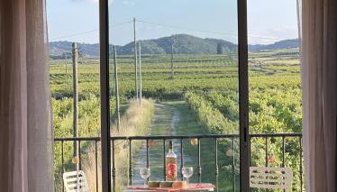 GITE de Rose sous les étoiles - Foto 4