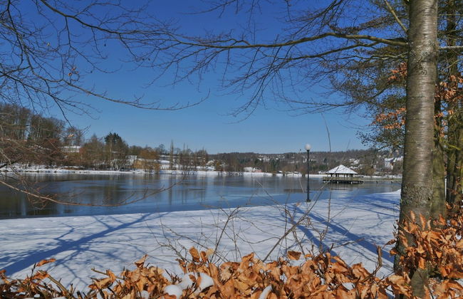 Holiday Home in Vielsalm With Lake View - Foto 40