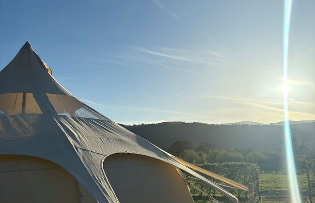 Erw Glas Glamping and Camping - Photo 65