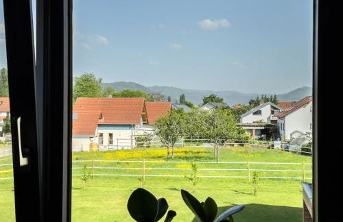 Ferienwohnung Jack-Inn - Foto 31