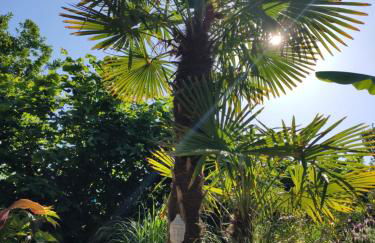 La Grange Océane SPA & Piscine chauffée en saison - Foto 47