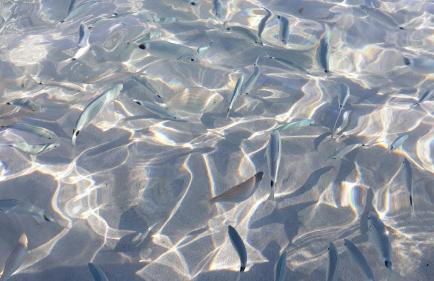 Golf & Sea Residence Is Molas - Foto 53