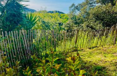 Loft entre mer et campagne à 5 min d'Ajaccio classé 4 étoiles - Foto 10