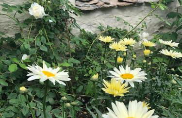 Luxury Exmoor Barn conversion with Sauna - Foto 13