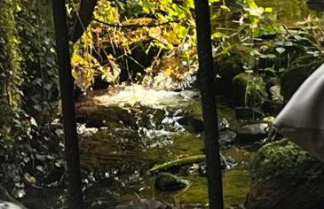 Shed Gwely - Foto 24