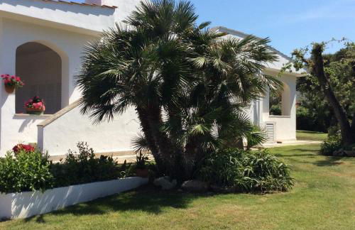 Villa sul mare Rosa Marina - Foto 1