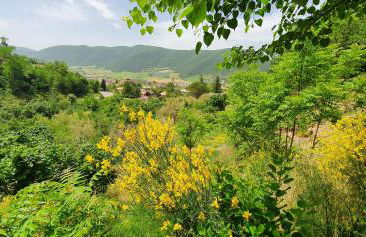 Il Vigneto - Foto 20