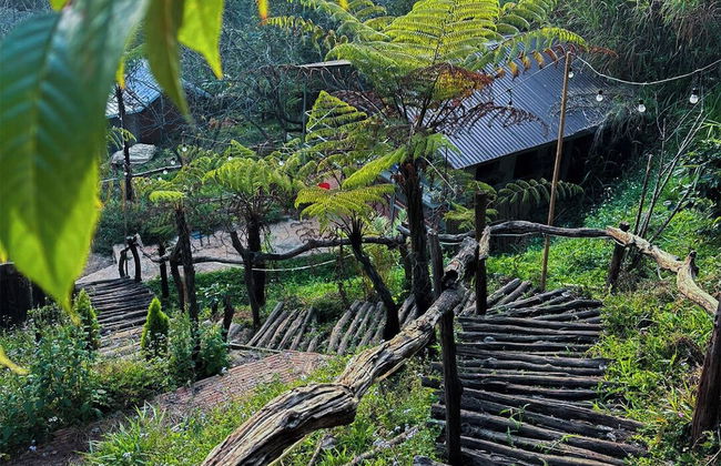 Dong Homestay - Foto 29