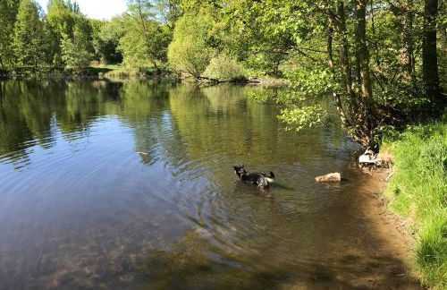 An den Havelwiesen - Foto 39