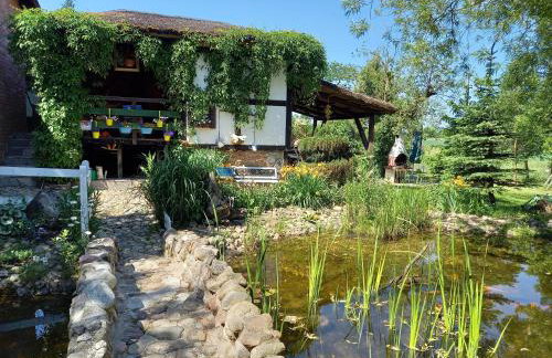 Agroturystyka POD KASZTANEM - Foto 18