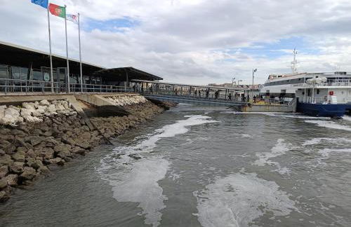 MCR Barreiro - O Limoeiro - Foto 33