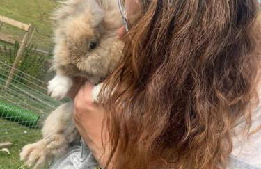 Ruby's Retreat! Farm Stay! North devon! Sleeps 6! Beaches Exmoor! - Foto 58