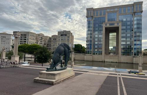 Superbe Appartement Entier 43 m2 au centre-ville Montpellier Idéal 1 à 2 Personnes - Foto 4