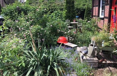 Welsh Dragon - Foto 16