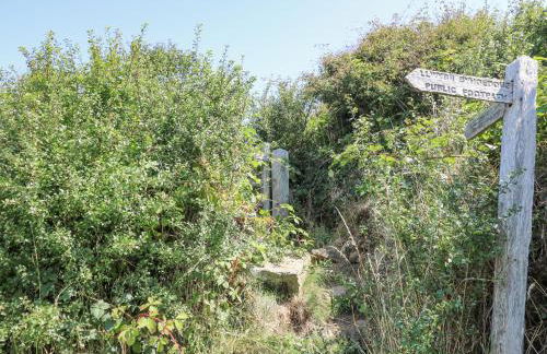 2 Sunny Hill - Photo 27