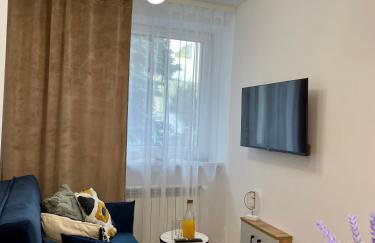 Apartament w sercu miasta - Foto 5