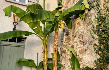 Maison Hirondelles Gîtes - Foto 25