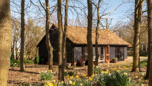 The Stables, Theberton - Foto 1, Garden