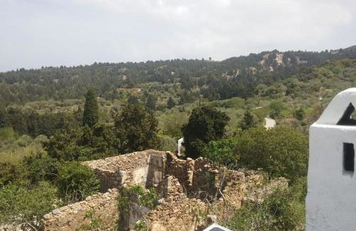 Renovated old traditional House - Photo 46