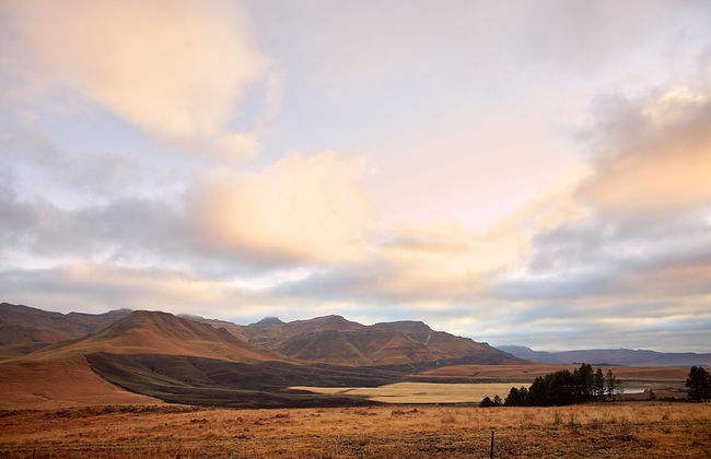 Bergview Farm Cottages by First Private Stays - Photo 41