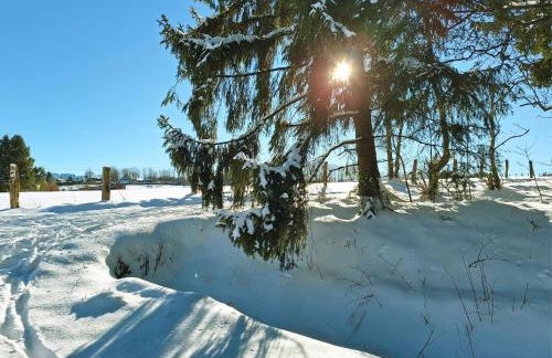 Ferienhaus am Nationalpark Eifel - Photo 26
