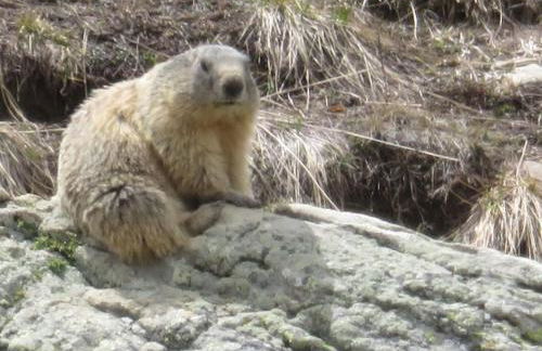 Studio en rez de chaussée, avec jardin partagé. - Foto 17