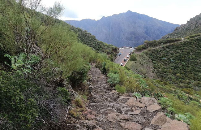 Senderismo por el interior del Parque Rural de Teno - Foto 14