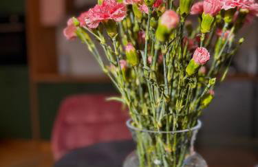 Goździkowy Apartament - Foto 13