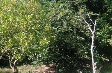 i giardini di Ailobran - Foto 21