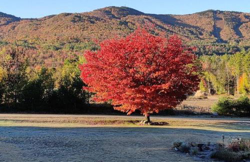 Mountain View Suite - Foto 14