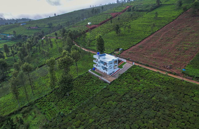 Akshu's Nest - Photo 21