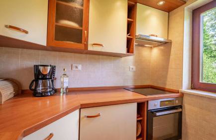 Planinski Raj House with 2 Apartments for 10 Guests - Foto 9