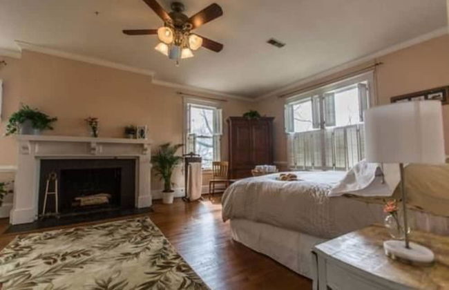 Garden Oasis Near Downtown - Photo 8