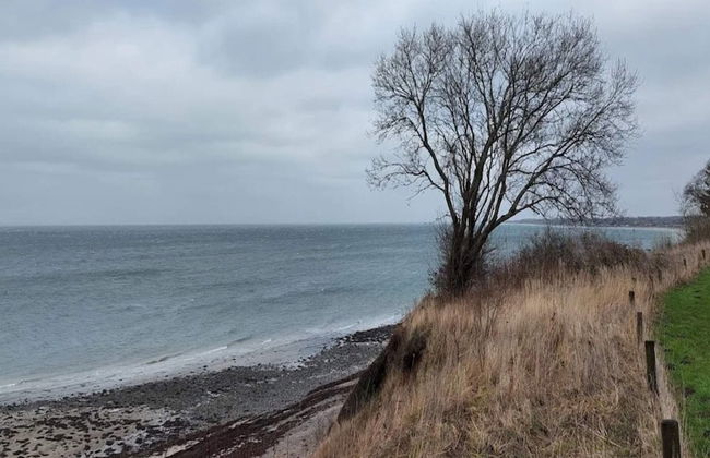 6 Person Holiday Home in Brenderup Fyn - Photo 30