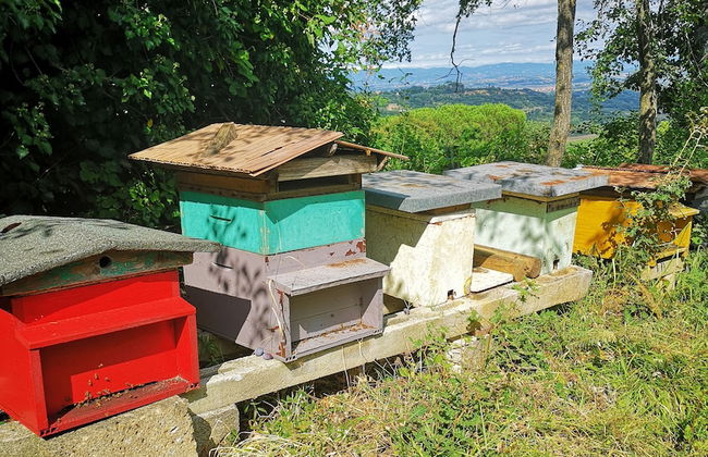 Frateria Di San Benedetto - Foto 41