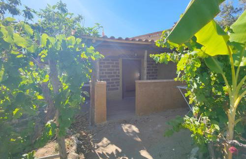 Agriturismo Casa del Contadino - Photo 20