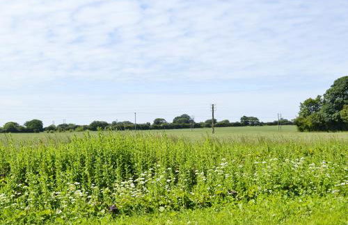 South View Cottage - Photo 15