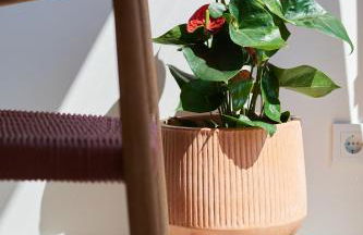 Slow Home Apartments - Photo 14