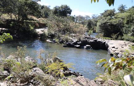 Haras Santa Amalia - Nova União MG - Foto 25