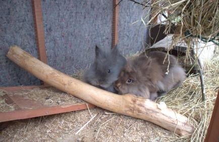 NOAH - Beste Lage, ruhig und romantisch - Photo 11