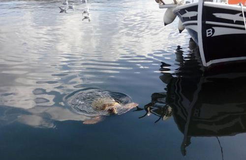 Joleni Cottage in Keramies - Foto 25