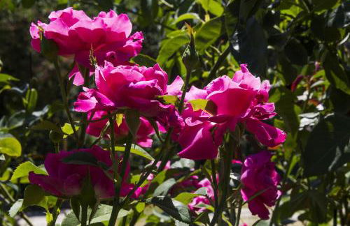 AGRITURISMO Case Catalano - Foto 6