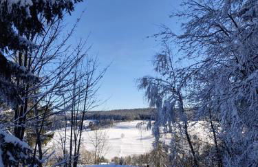 Gasthaus Piesau - Thüringer Wald - Rennsteig - Foto 72