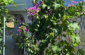 Apartments Krušvina - Foto 36