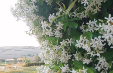 Il Giardino nella Valle - Foto 18