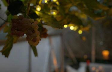 Cozy 3-Bed Cottage with Hot Tub - Foto 7