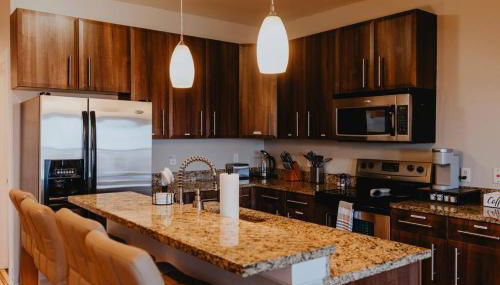 Modern 1BR-1BA Walk to SSM SLU Hospital Grand - Foto 2, stove, minibar