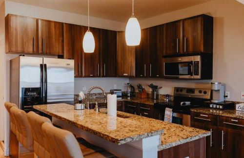 Modern 1BR-1BA Walk to SSM SLU Hospital Grand - Foto 2